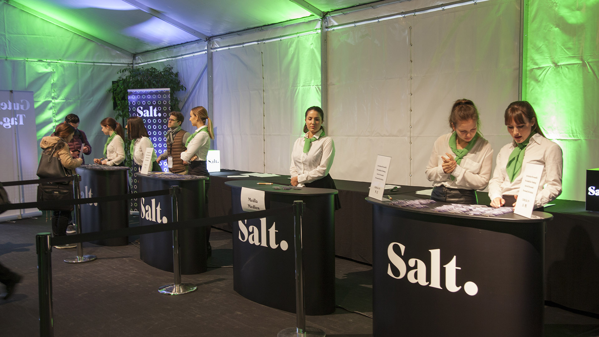 salt06